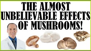 The Almost Unbelievable Effects Mushrooms With Dr Joel Fuhrman [upl. by Emelen689]