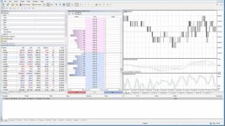 MetaTrader5  MT5  DOM Depth of Market [upl. by Arotak788]