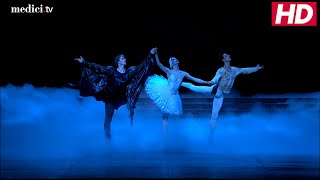 Tchaikovsky Swan Lake choreographed by Nureyev Final Scene [upl. by Bonilla34]