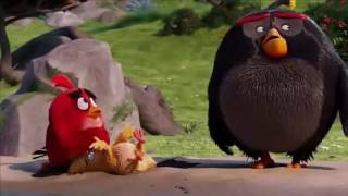 Red Chuck Y Bomb Encuentran A Águila Poderosa  Angry Birds  Español Latino [upl. by Siravrat]