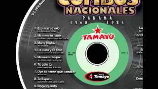 Many Nigths  The Persuaders  Combos Nacionales  Panama  Discos Tamayo [upl. by Arocahs279]