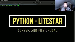 Python  Litestar  Schema and file upload [upl. by Francklin666]