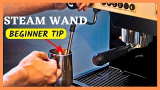 PERFECT Your Milk Steaming TechniqueLearn How Purging Your Steam Wand is so important [upl. by Drarrej]