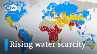 How to stop the rising threat of water scarcity  DW News [upl. by Lathrope646]