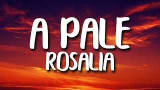 ROSALÍA  A Palé Letra [upl. by Allecsirp]