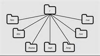 Learning the Linux File System [upl. by Valida836]