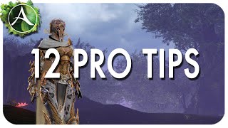 ArcheAge Tips amp Tricks [upl. by Solon]