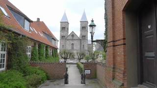 Viborg Domkirke [upl. by Itisahc]