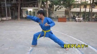 Long Hổ Quyền  Vovinam Việt Võ Đạo [upl. by Schalles61]