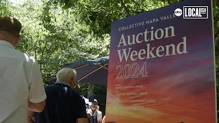 Collective Napa Valley Auction Weekend raises money for youth mental health [upl. by Mattox]