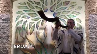 The Sounds of the Shofar [upl. by Llesig709]