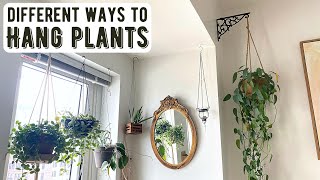 Different Ways To Hang Houseplants In Your Home [upl. by Aihsel]