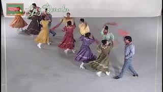 El gallito con pasos básicos Baile folclórico del estado de Coahuila Mexico [upl. by Casie]