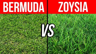 Bermuda vs Zoysia  Pros Cons and Tips to Help You Choose the Best Grass for Your Lawn [upl. by Ayotaj]