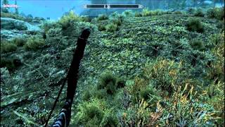 Skyrim How to call Durnehviir [upl. by Assiren]