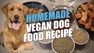 Homemade Vegan Dog Food Recipe the Healthiest Option [upl. by Heber]