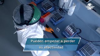 ¿Cuánto tardan en caducar las vacunas contra el Covid19 [upl. by Mauralia813]