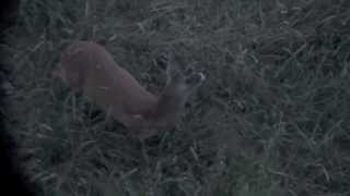 Blattzeit 2013  Erlegung Rehbock auf der Blattjagd  Roe buck stalking [upl. by Ingaborg]