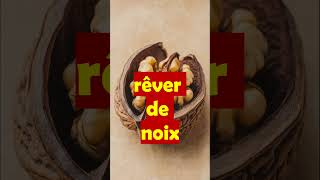 rêver de noixdans le rêve interprétationramassercassernoyer arbrerichessesignification islam [upl. by Anael]