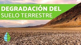 Degradación del suelo terrestre  CAUSAS Y CONSECUENCIAS [upl. by Sammer]