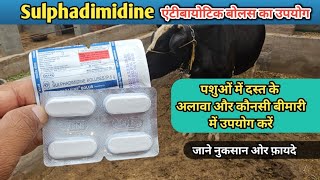 Sulphadimidine Antibiotic टेबलेट का उपयोग पशुओं की कौन सी बीमारी में कैसे करें  क्या रखे सावधानी [upl. by Riaj]