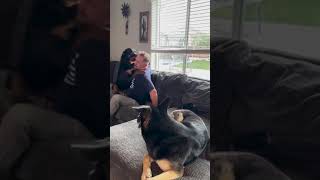 Dog Doesnt Let Owner Get Up From Couch  1525555 [upl. by Senecal]