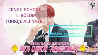 Türkçe Altyazılı  Stray Kids  Dingo School 1 Bölüm [upl. by Muns]