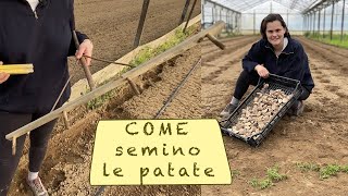 COME SEMINARE LE PATATE [upl. by Cody901]