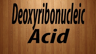 How to Pronounce Deoxyribonucleic Acid  Deoxyribonucleic Acid Pronunciation [upl. by Aneekas]