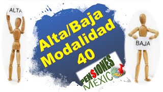 Alta y Baja de Modalidad 40 en la subdelegación 12 para pensionarse [upl. by Keli]