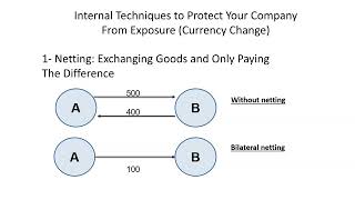 Foreign Currency Exposure Management  Internal Techniques [upl. by Campball337]