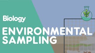 What Is Environmental Sampling  Ecology amp Environment  Biology  FuseSchool [upl. by Yenaiv785]