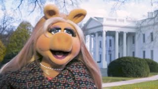 Miss Piggy Goes To Washington  The Muppets [upl. by Ecnav]