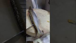 Pangas fish cutting slice skill cutting short YouTube video [upl. by Eusoj]