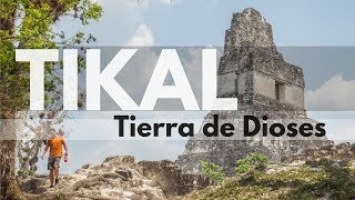 TIKAL La antigua ciudad MAYA de Guatemala  Tikal 2 [upl. by Nnaegroeg534]