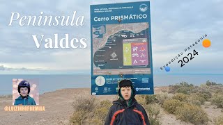 Peninsula Valdes  Cerro Prismatico  Ep01 [upl. by Ruttger]