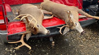 Success Pa Rifle Deer Season 2022 DAY 2 amp 3 PENNSYLVANIA [upl. by Sergius]