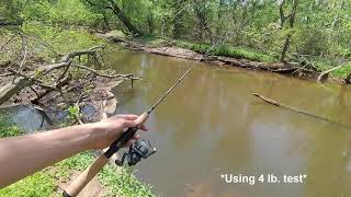 Fishing the White Perch Run on the Patuxent River [upl. by Donelson]