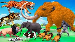 3 Giant Lion Tiger Vs Gorilla Attack Cow Cartoon Buffalo Save by Woolly Mammoth Elephant vs Smildon [upl. by Lauretta]