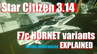 Star Citizen  Which Hornet is the best for you All the variants explained [upl. by Aillicirp]