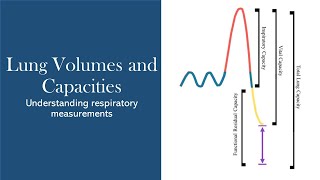 Lung Volumes and Capacities [upl. by Alpert]