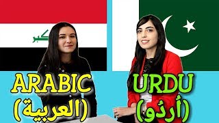 Similarities Between Arabic and Urdu [upl. by Atteloiv]