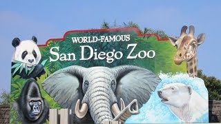 San Diego Zoo [upl. by Andonis714]