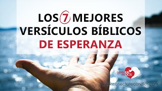 🌾 Los 7 Mejores Versículos Bíblicos de Esperanza Pasajes de la Biblia de Fe y Esperanza [upl. by Ramaj]