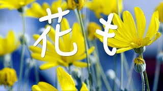 「花も  日本語 賛美 Music Video」日本語 歌詞付き Worship song ワーシップソング 日本語 賛美歌 おうち賛美 Japanese Christian Music「꽃들도」 [upl. by Nwahsav]