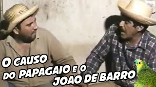 IMBILINO E JUCA  O CAUSO DO PAPAGAIO E O JOÃO DE BARRO [upl. by Sally563]