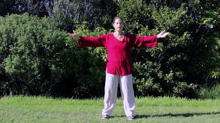 Tai Chi 5 Minutes a Day Module 04  Cloud Hands  Single Whip  Snake Creeps down [upl. by Aniluj]