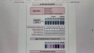 8Cuantificación de Proteínas Método de Biuret [upl. by Nirra644]