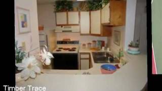 Timber Trace Apartments for Rent in Stone Mountain GA [upl. by Osner]