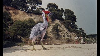 Mysterious Island 1961 Giant Chicken Attack [upl. by Onitsuj]